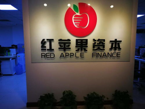 北京红苹果财务公司快速成 专家详解